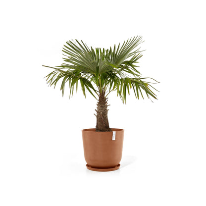 Kukkaruukku - Ecopots - Kukkaruukku Oslo 65cm terracotta - Ecopots - Uuden aikakauden kukkaruukku kierrätysmateriaalista