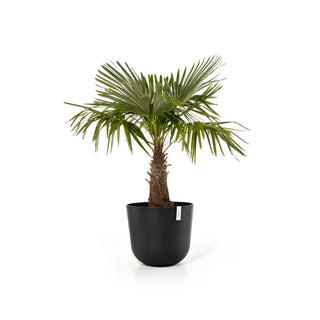 Kukkaruukku Oslo 65cm tummanharmaa
