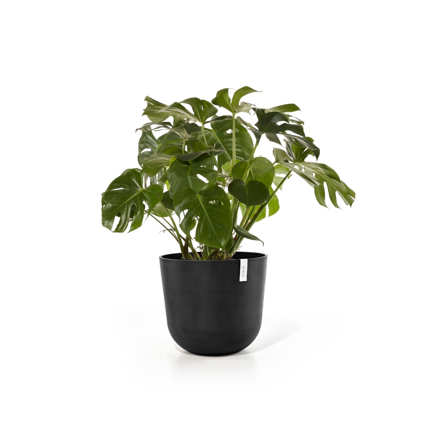 Kukkaruukku - Ecopots - Kukkaruukku Oslo 65cm tummanharmaa - Ecopots - Uuden aikakauden kukkaruukku kierrätysmateriaalista