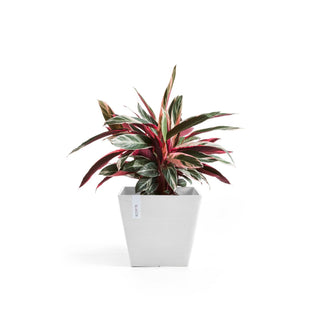 Lillepott Rotterdam 30cm valge
