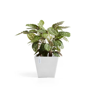 Lillepott Rotterdam 50cm valge