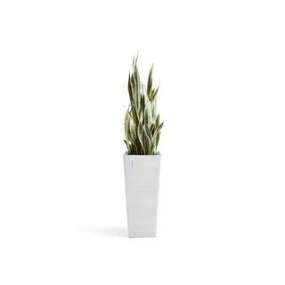 Lillepott Rotterdam kõrge 70cm valge