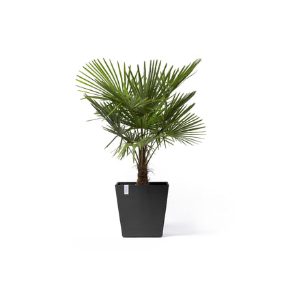 Kukkaruukku - Ecopots - Kukkaruukku Rotterdam pyörillä 50cm tummanharmaa - Ecopots - Uuden aikakauden kukkaruukku kierrätysmateriaalista