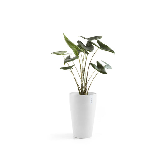 Kukkaruukku - Ecopots - Kukkaruukku Sankara keskikorkea 55cm valkoinen - Ecopots - Uuden aikakauden kukkaruukku kierrätysmateriaalista