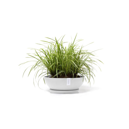 Kukkaruukku - Ecopots - Kukkaruukku Vienna 50cm valkoinen - Ecopots - Uuden aikakauden kukkaruukku kierrätysmateriaalista