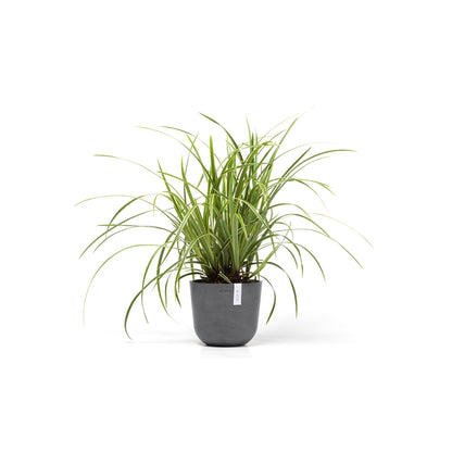 Kukkaruukku - Ecopots - Oslo 19cm harmaa - Ecopotskauppa - Uuden aikakauden kukkaruukku