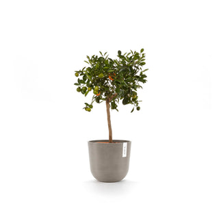 Kukkaruukku Oslo 25cm taupe