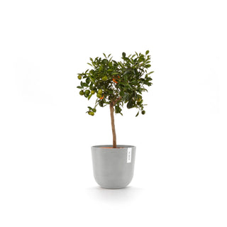 Lillepott Oslo 25cm valgehall