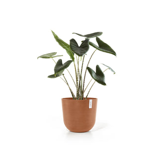 Lillepott Oslo 45cm terrakota