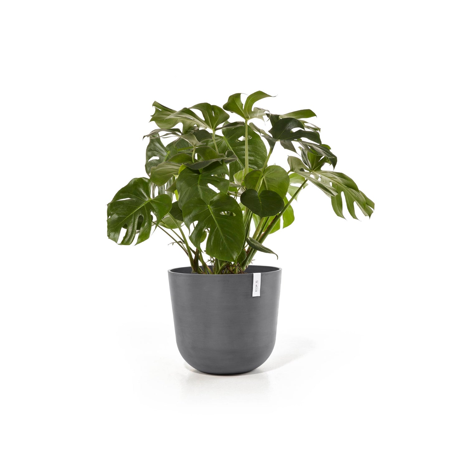 Kukkaruukku - Ecopots - Oslo 55cm harmaa - Ecopotskauppa - Uuden aikakauden kukkaruukku