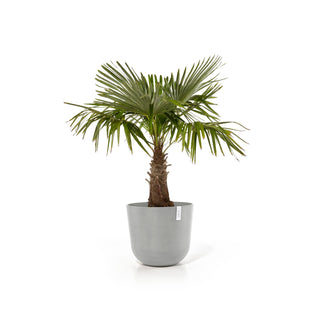 Kukkaruukku Oslo 55cm valkoharmaa