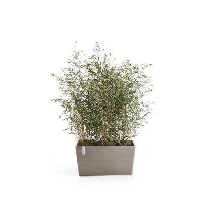 Kukkaruukku - Ecopots - Pariisi 80cm taupe - Ecopots - Uuden aikakauden kukkaruukku kierrätysmateriaalista