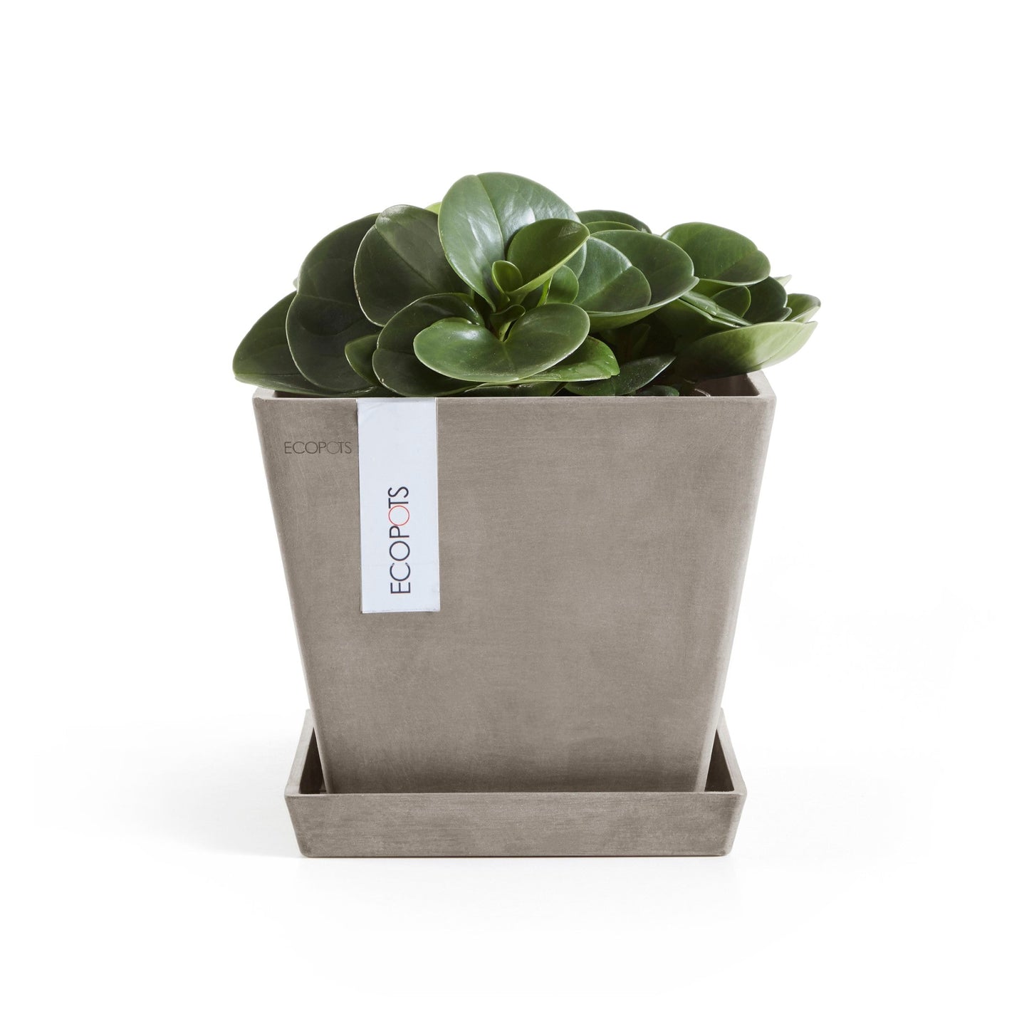 Kukkaruukku - Ecopots - Rotterdam 20cm taupe - Ecopotskauppa - Uuden aikakauden kukkaruukku