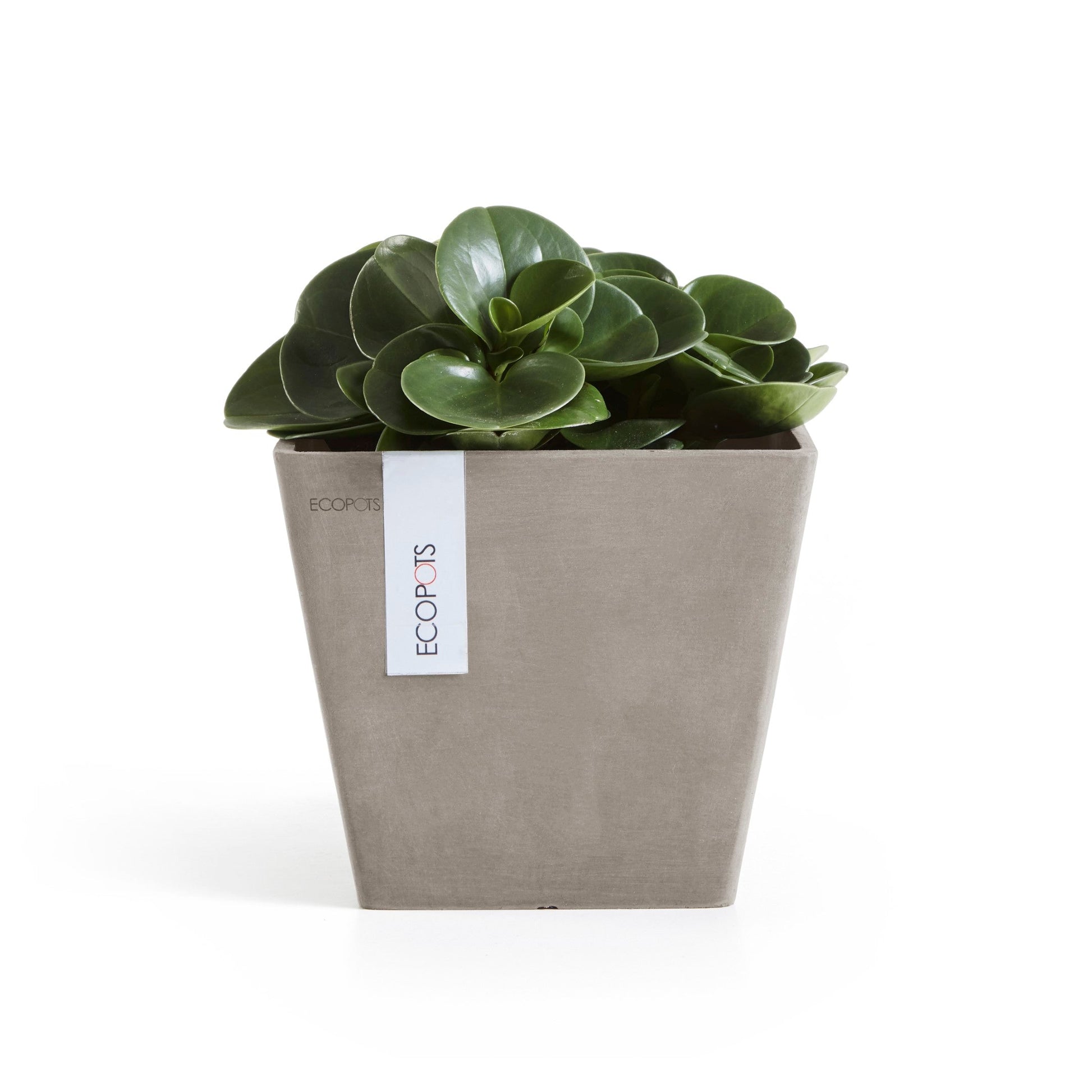 Kukkaruukku - Ecopots - Rotterdam 20cm taupe - Ecopotskauppa - Uuden aikakauden kukkaruukku