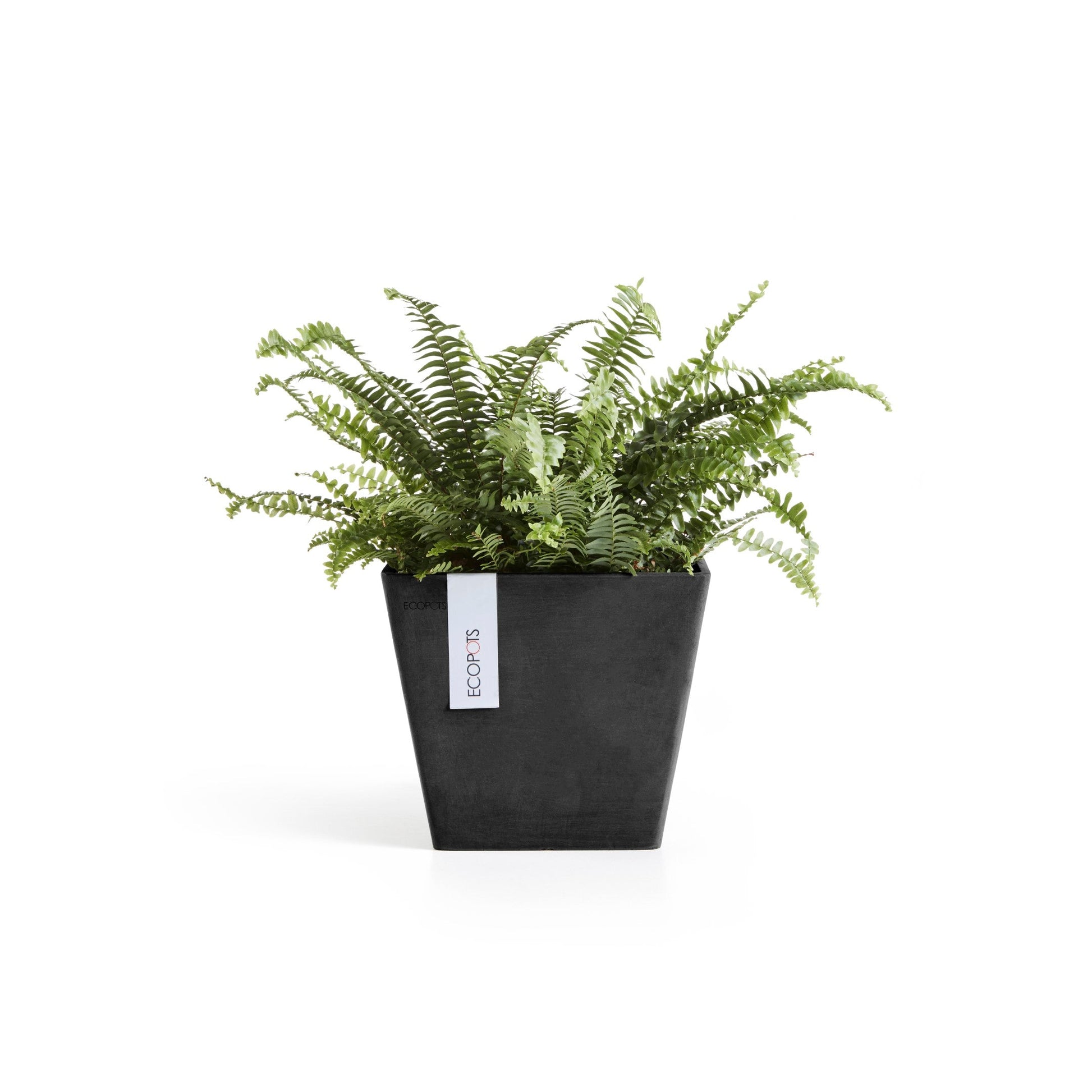 Kukkaruukku - Ecopots - Rotterdam 20cm tummanharmaa - Ecopotskauppa - Uuden aikakauden kukkaruukku