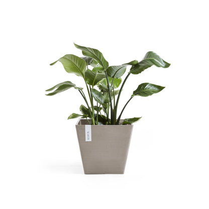 Kukkaruukku - Ecopots - Rotterdam 30cm taupe - Ecopotskauppa - Uuden aikakauden kukkaruukku