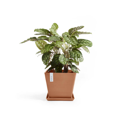 Kukkaruukku - Ecopots - Rotterdam 30cm terracotta - Ecopotskauppa - Uuden aikakauden kukkaruukku