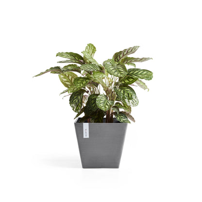 Kukkaruukku - Ecopots - Rotterdam 40cm harmaa - Ecopotskauppa - Uuden aikakauden kukkaruukku