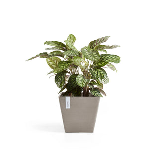 Lillepott Rotterdam 40cm taupe