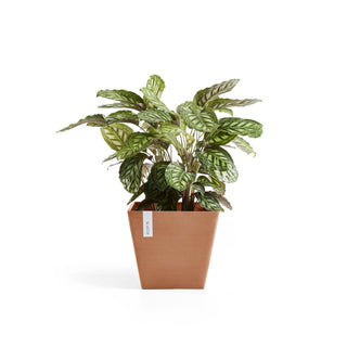 Lillepott Rotterdam 40cm terrakota