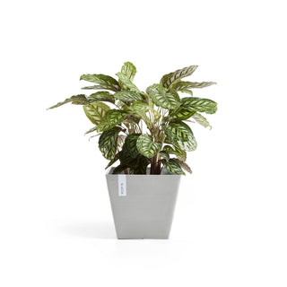 Lillepott Rotterdam 40cm valgehall