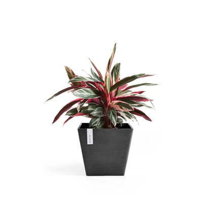 Kukkaruukku - Ecopots - Rotterdam 50cm tummanharmaa - Ecopotskauppa - Uuden aikakauden kukkaruukku