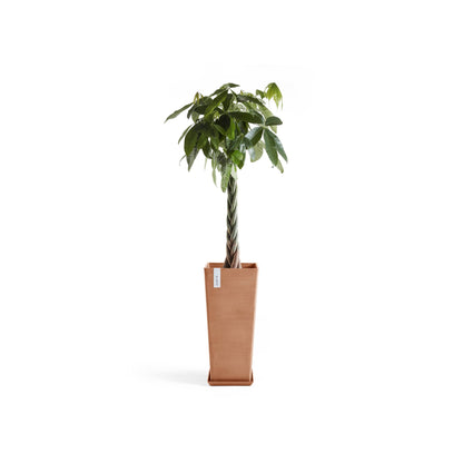 Kukkaruukku - Ecopots - Rotterdam korkea 70cm terracotta - Ecopotskauppa - Uuden aikakauden kukkaruukku