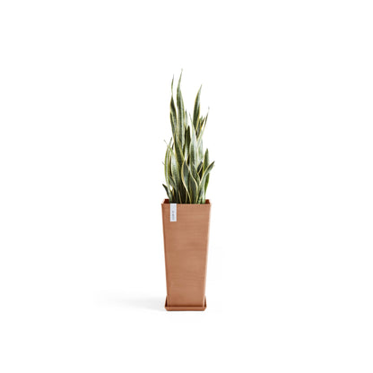 Kukkaruukku - Ecopots - Rotterdam korkea 70cm terracotta - Ecopotskauppa - Uuden aikakauden kukkaruukku