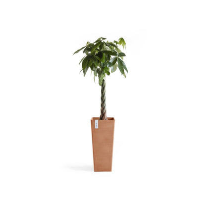 Kukkaruukku - Ecopots - Rotterdam korkea 70cm terracotta - Ecopotskauppa - Uuden aikakauden kukkaruukku