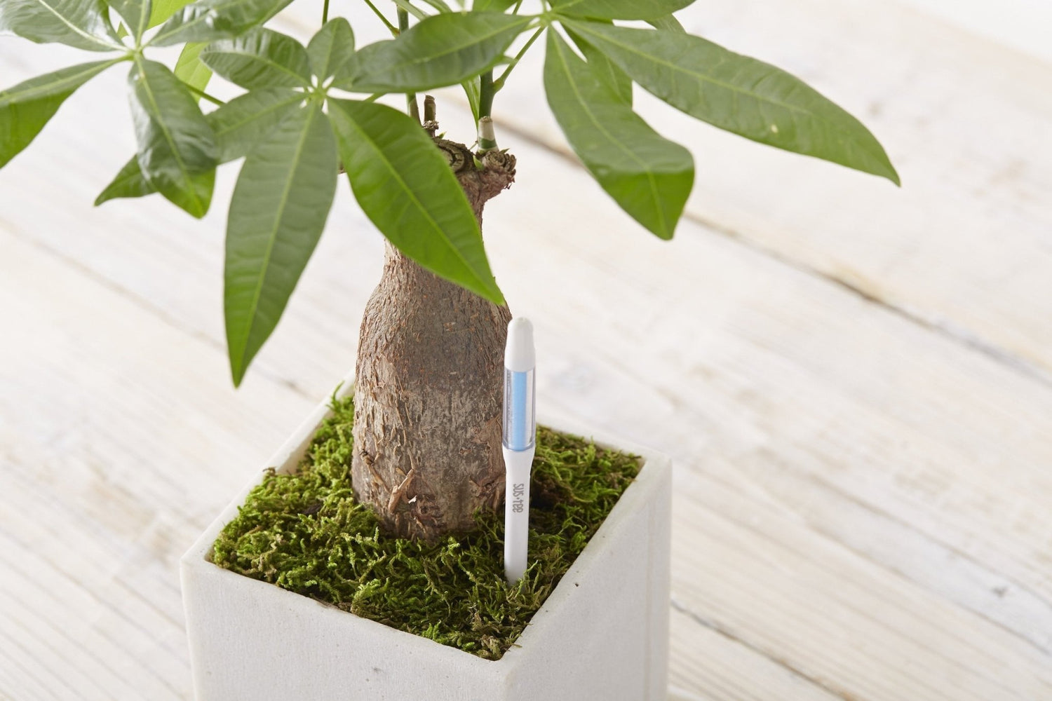 Kukkaruukku - Ecopots - Ruukun kosteustason mittaaja 18cm - Ecopots - Uuden aikakauden kukkaruukku kierrätysmateriaalista