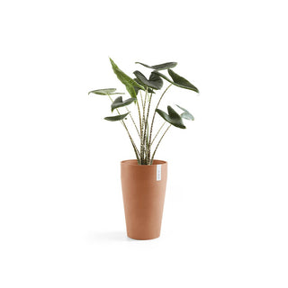 Kukkaruukku Sankara keskikorkea 55cm terracotta