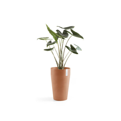 Kukkaruukku - Ecopots - Sankara keskikorkea 55cm terracotta - Ecopotskauppa - Uuden aikakauden kukkaruukku