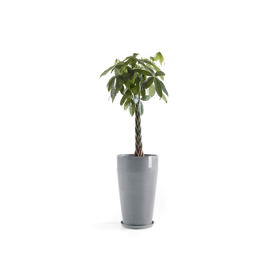 Kukkaruukku - Ecopots - Sankara korkea 75cm siniharmaa - Ecopotskauppa - Uuden aikakauden kukkaruukku