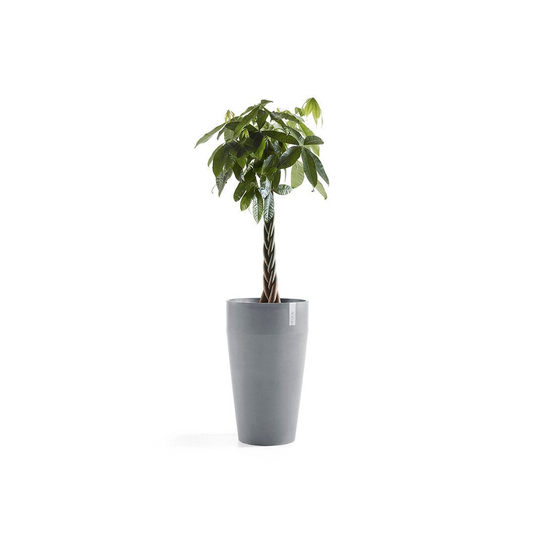 Kukkaruukku - Ecopots - Sankara korkea 75cm siniharmaa - Ecopotskauppa - Uuden aikakauden kukkaruukku