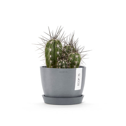 Kukkaruukku - Ecopots - Tukholma 16cm siniharmaa - Ecopotskauppa - Uuden aikakauden kukkaruukku