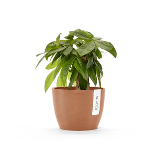Lillepott Stockholm 16cm terrakota