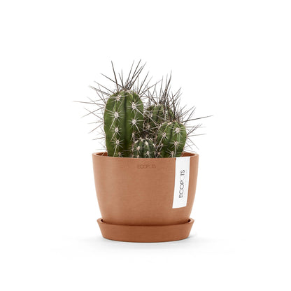 Kukkaruukku - Ecopots - Tukholma 16cm terracotta - Ecopotskauppa - Uuden aikakauden kukkaruukku