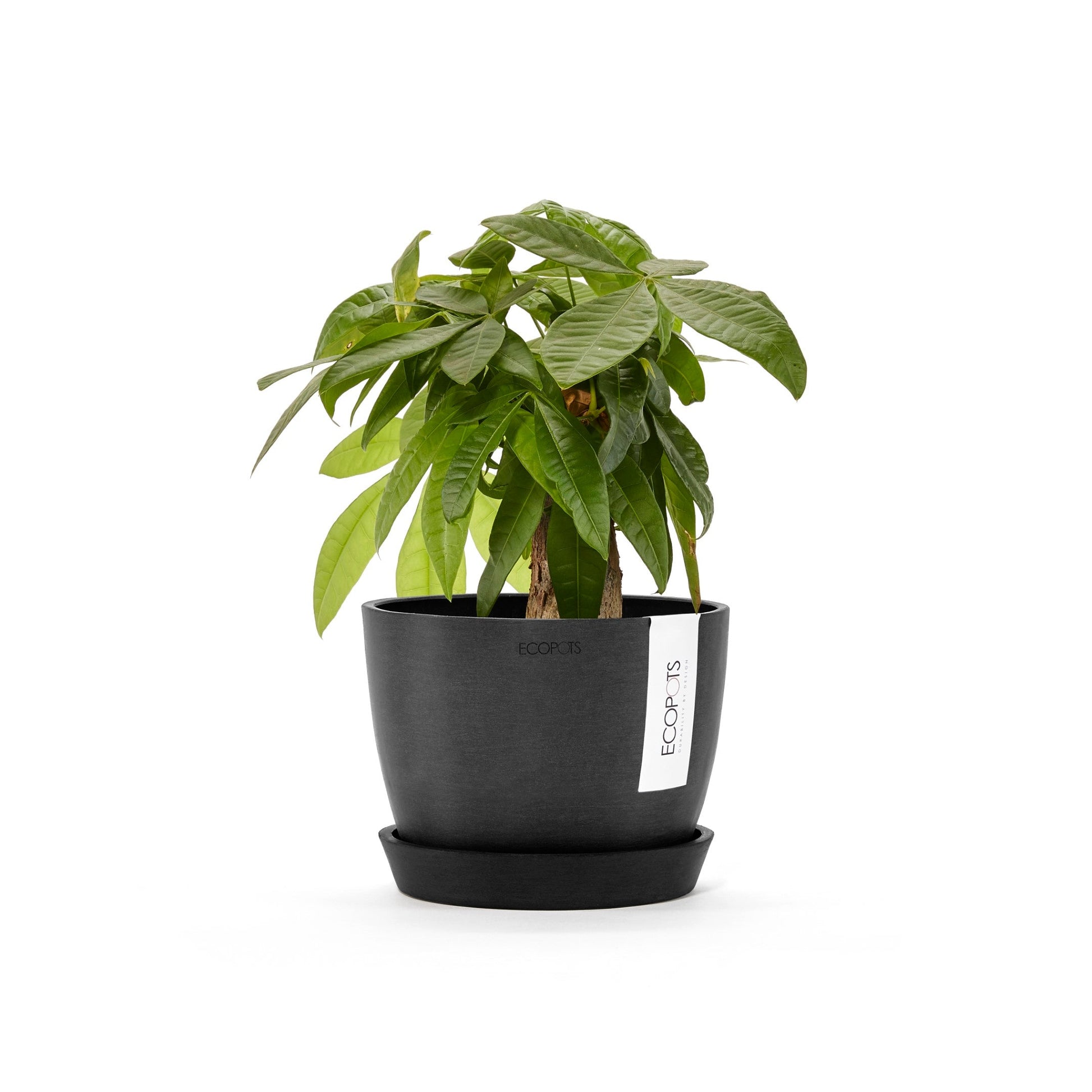 Kukkaruukku - Ecopots - Tukholma 16cm tummanharmaa - Ecopotskauppa - Uuden aikakauden kukkaruukku