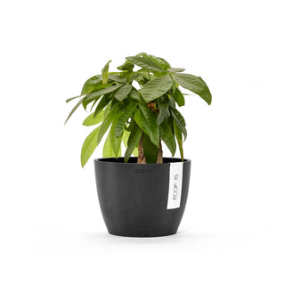 Kukkaruukku Tukholma 16cm tummanharmaa