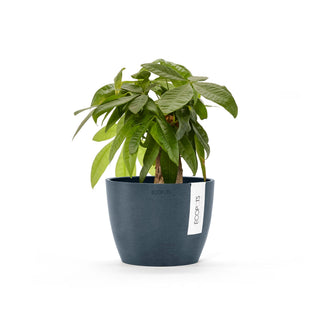 Lillepott Stockholm 16cm tumesinine