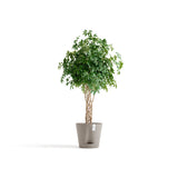 Kukkaruukku Venetsia 2.0 40cm taupe
